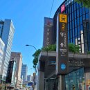 서울영플란트치과의원 이미지