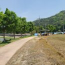 금강로 가로수길 이미지