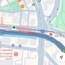 야당동 에펠타워 사거리 | 🇯🇵 TOKYO 긴쟈 쇼핑거리 + 도쿄타워 &amp; 일루미네이션 포토스팟 (day 3)