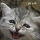 (주)부천역사 이미지