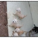 금월농장 이미지