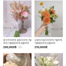 부케바이민 이미지