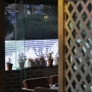 카페스토리 이미지