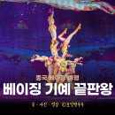 조양 | 북경 여행 베이징 서커스 추천 베이징 조양서커스 후기