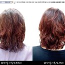 원더파마