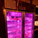 홍인파크 | 공트럴파크 이색술집 루나캠프닉 캠핑고기집 공릉 애견동반식당 단체모임하기 좋은 곳