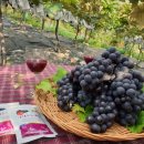 선경주유소 이미지