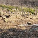 관리농장 이미지