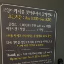 예뻐질 : 개 네이버블로그