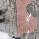 스타워시 카케어 서울본점 이미지