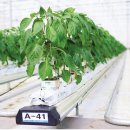 태곡농장 이미지