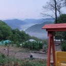 산과 들의 약용식물 | 뱃머리 산과들의 약용식물 현장학습