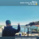 까사콩새 이미지