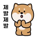 카페살뤼 이미지