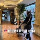 유심농장 | 대만 타이중 여행 이심｜유심사 eSIM 사용 후기 + 여행자 등록 총정리
