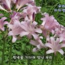 우리의 사랑 (서영순 시,이안삼 곡) 이지연 Sop &amp; 이재욱 Ten 이미지