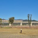 굿모닝주유소 | [경북 칠곡] 기차가 다니는 칠곡보 오토캠핑장 B33에서 테슬라 주니퍼 차박하기