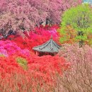 완산공원(아래) 이미지