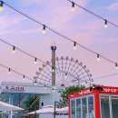 삽교호관광지 | 당진 실내 가볼만한 곳 알로하타운 삽교호면옥 구마당 팝업스토어 삽교호 관광지 놀거리