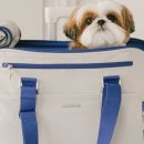 (주)펫츠랜드 이미지