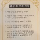 에스엔제이뷰티