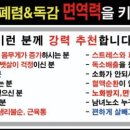 체온UP다이어트 이미지