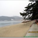 송지면보건지소 티스토리