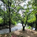 귀거래산장 이미지