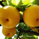 구월3동-10 이미지