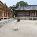 법주약국 이미지