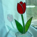 무선초등학교 이미지