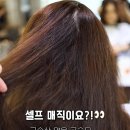 리에딧