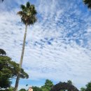 대정성지 이미지