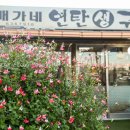 배가네연탄구이 이미지