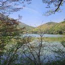 성지곡지 이미지