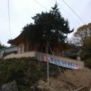 봉송정(鳳松亭) 네이버블로그