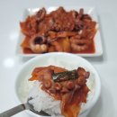 이미견 밥엔 낙지볶음 이미지