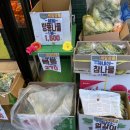 마석야채와과일