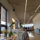 베지나랑 이미지