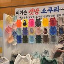 라임캣 | 가낳지모 캣페어 다녀온 후기 ①｜주말 나들이로 추천 금요일에 다녀온 코엑스 캣페어 솔직 후기