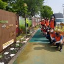 이천단월초교 이미지