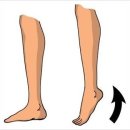 클라 헤드스파