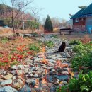 양양늘솔길 이미지