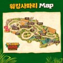 포크밸리로스트하우스 | 에버랜드 튤립축제 시작!!판다 세컨하우스, 로스트밸리 워킹사파리 솔찍 후기