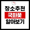 지하철역사 (유성온천역) | 2025 국화꽃 볼수있는곳 알아보기