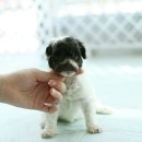 토이파티 이미지