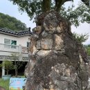 백운소나무가든 이미지