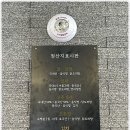 조순금닭도리탕 이미지
