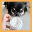 미스터 그루밍 이미지