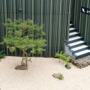 비자낭달집 이미지